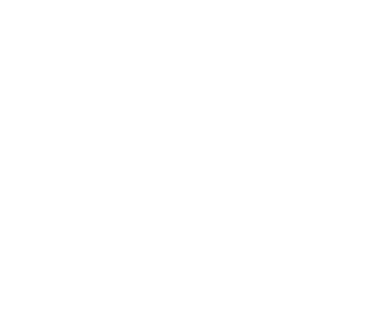 Hexagones blancs